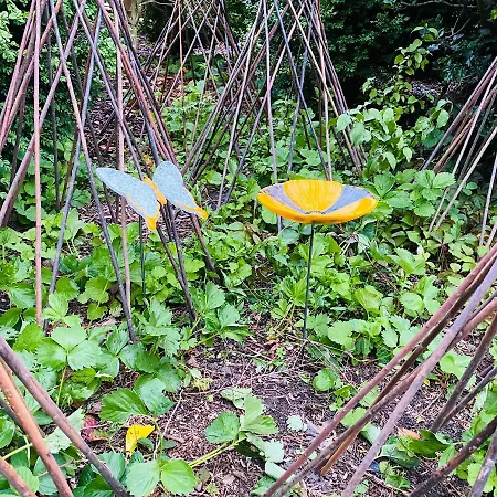 Stor Lys Pa Nordmors דירה Sejerslev