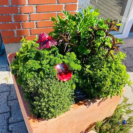 דירה Stor Lys Pa Nordmors