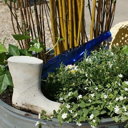 Stor Lys Pa Nordmors * Sejerslev