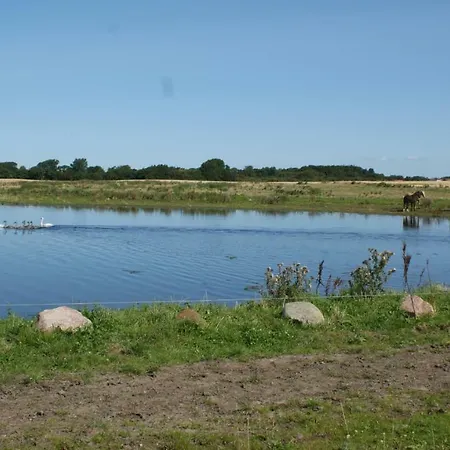 Stor Lys Pa Nordmors Sejerslev