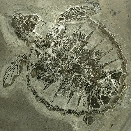 דירה Stor Lys Pa Nordmors *