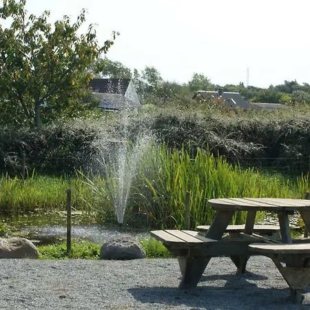 Stor Lys Pa Nordmors