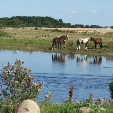 Stor Lys Pa Nordmors דירה