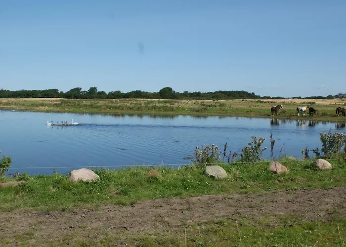 Stor Lys Pa Nordmors Sejerslev